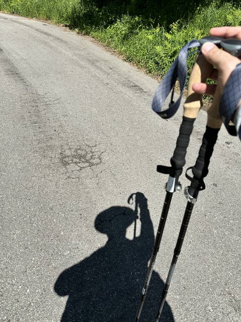 Trekking poles and a long shadow. Camino de Santiago.